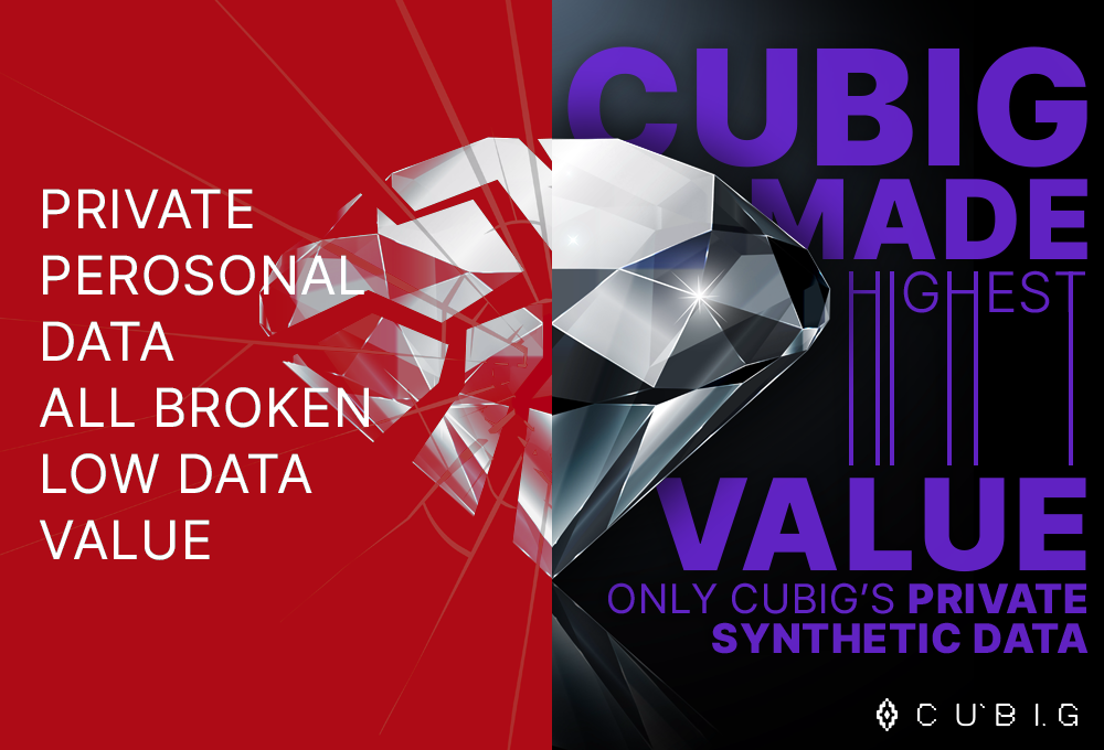 CUBIG's DTS - privacy&utility