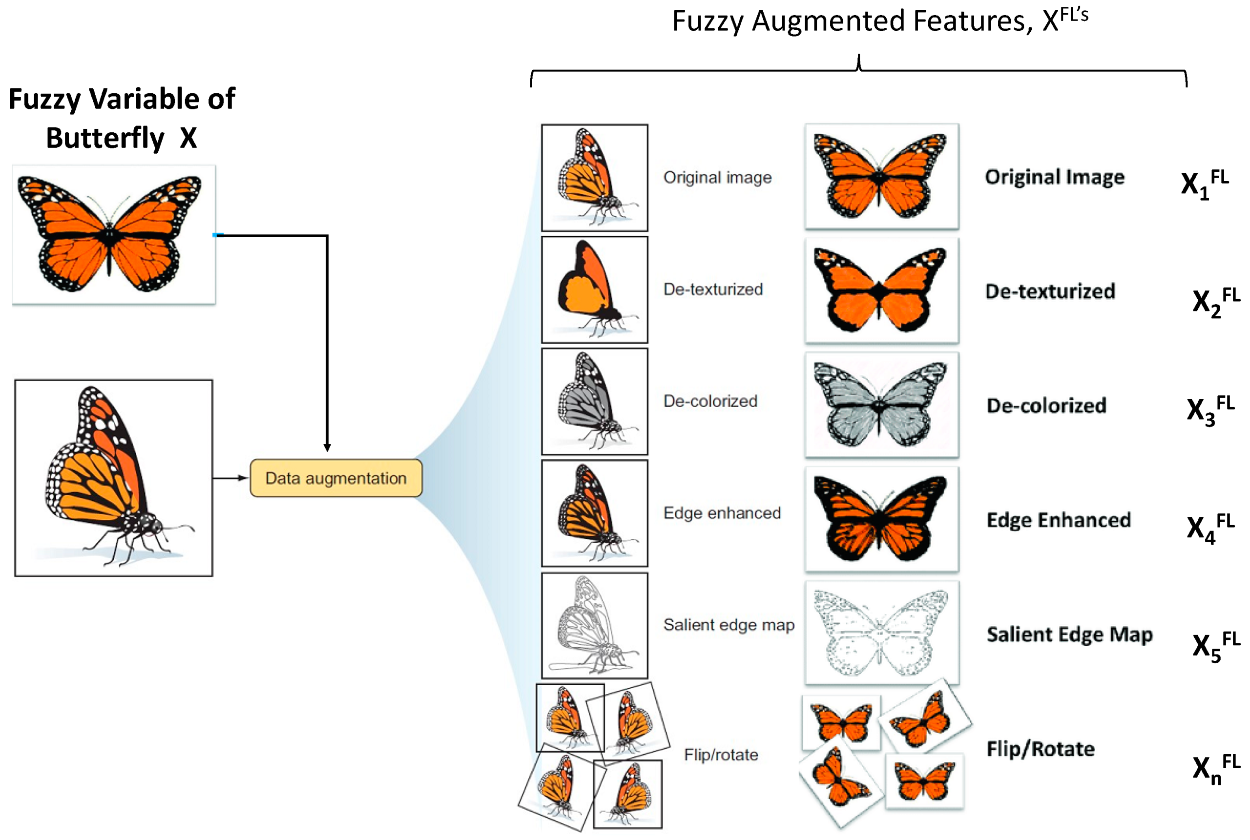 Image data augmentation example showing a butterfly illustration transformed through various techniques such as flipping, de-coloring, de-texturizing, and edge enhancement.