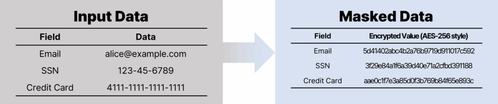 Comparison of original personal data fields like email and SSN with their encrypted forms using AES-style encryption.