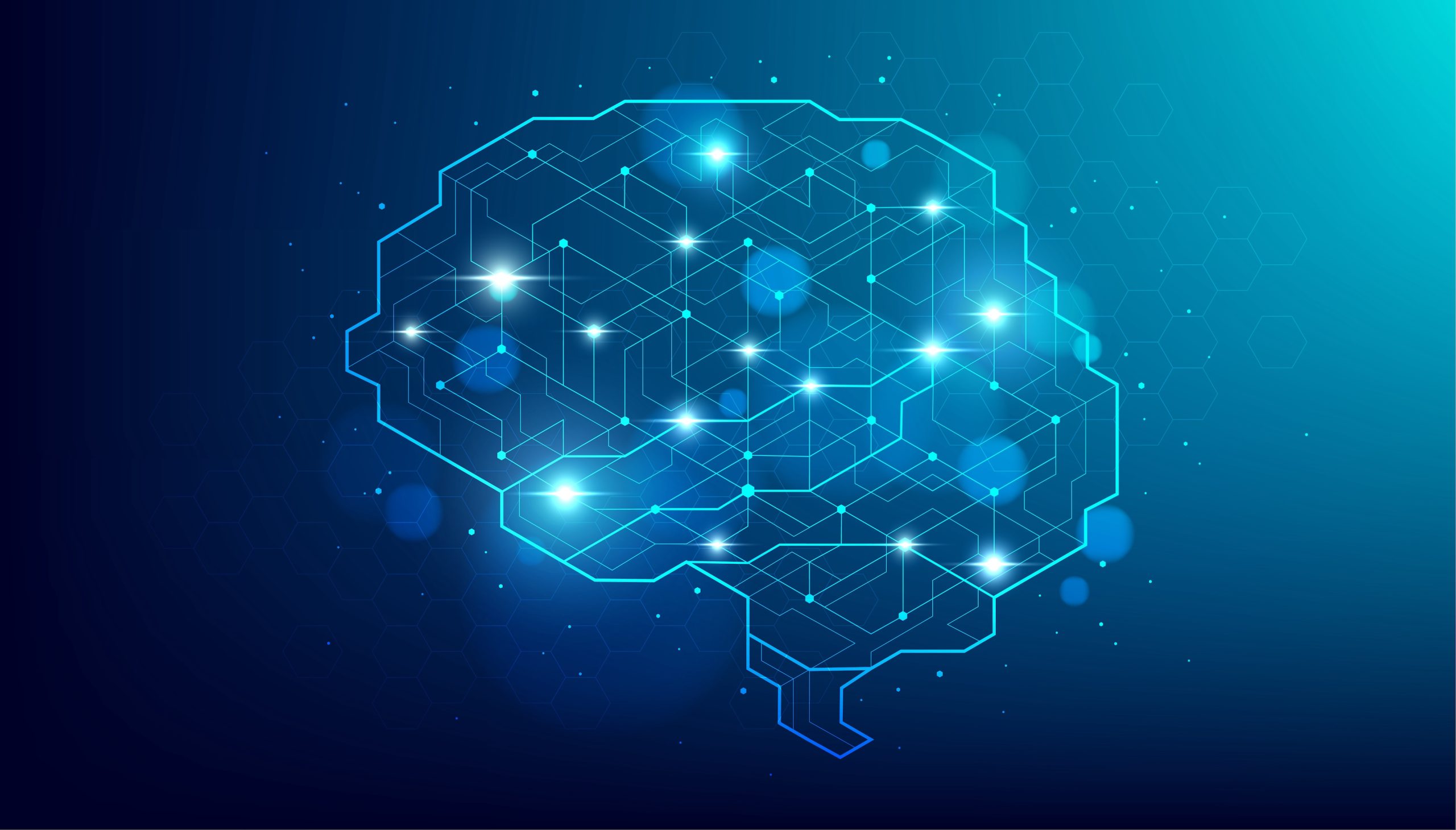 Explainable AI