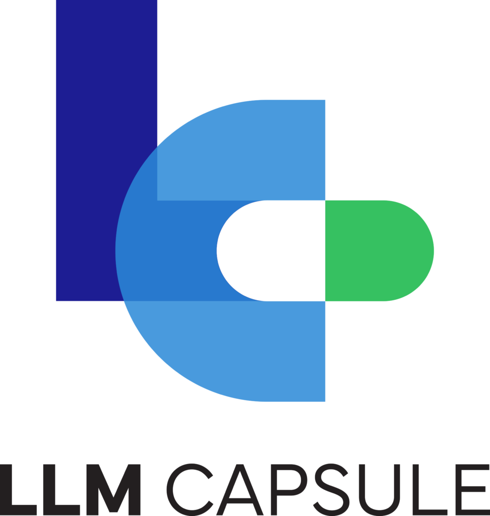 LLM Capsule