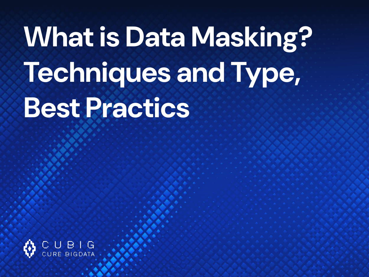 What is Data Masking? Techniques and Type, Best Practics