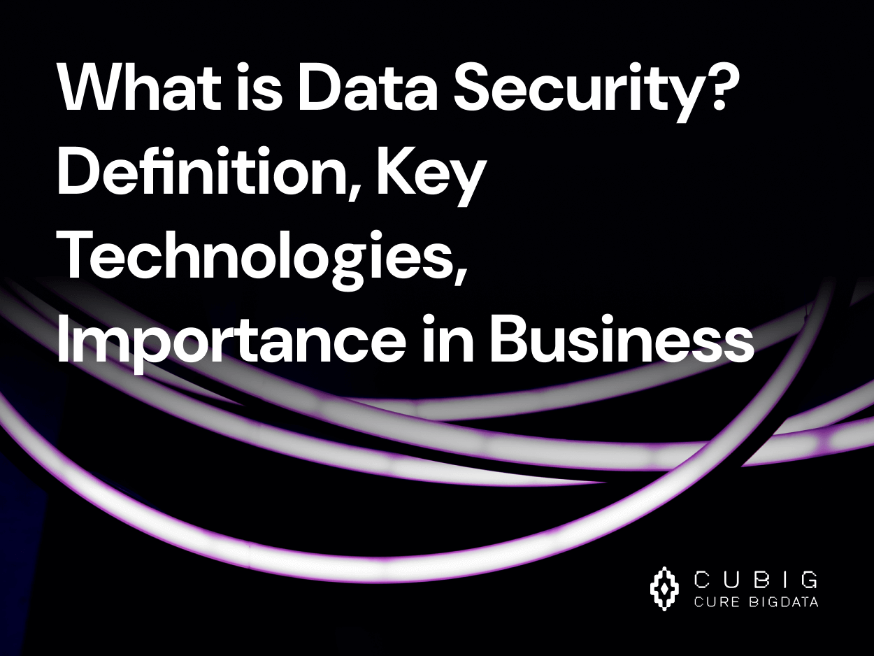 What is Data Security? Definition, Key Technologies, Importance in Business | Azoo AI