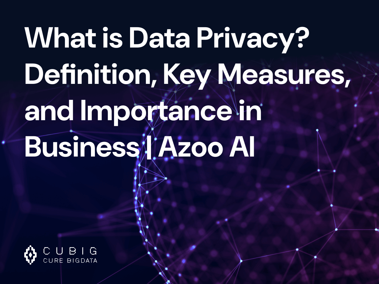 What is Data Privacy? Definition, Key Measures, and Importance in Business | Azoo AI