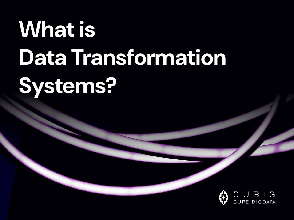 What is Data Transformation Systems?