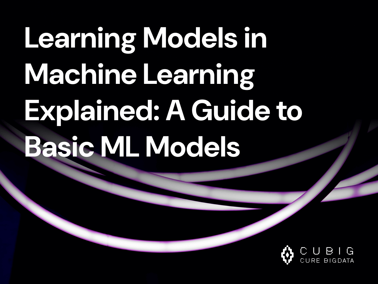 Learning Models in Machine Learning Explained: A Guide to Basic ML Models